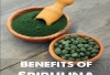 Spirulina Health Benefits